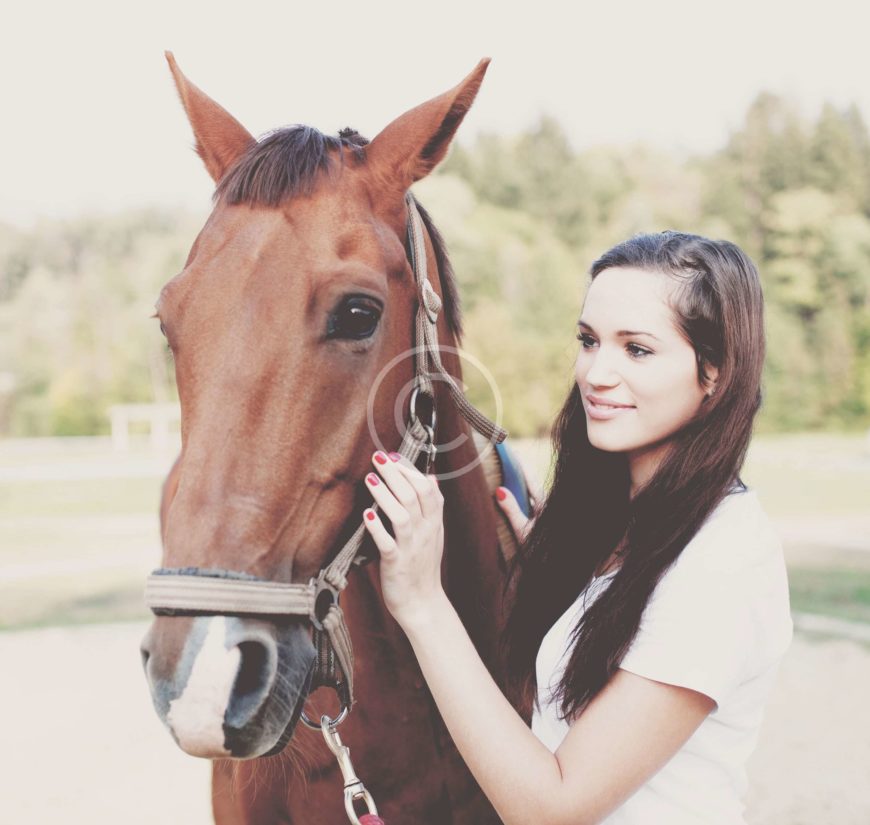 Young Horses Fair Better With a Friend